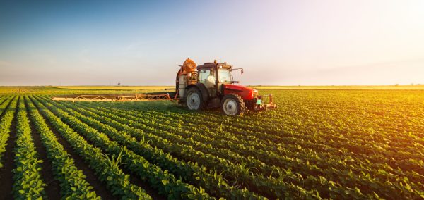 Expectativas para o agronegócio em 2024 e 2025