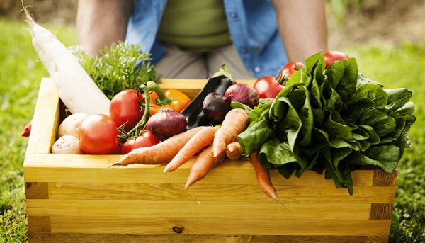 Celeiro de segurança alimentar global