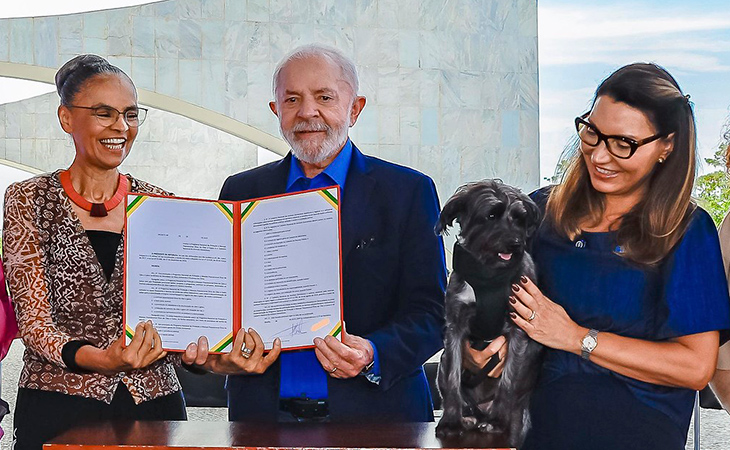 Lançamento SinPatinhas