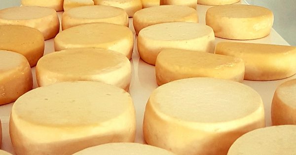 FOTO A 1 Queijo para site Araxa CREDITO EMATER MG DIVULGACAO