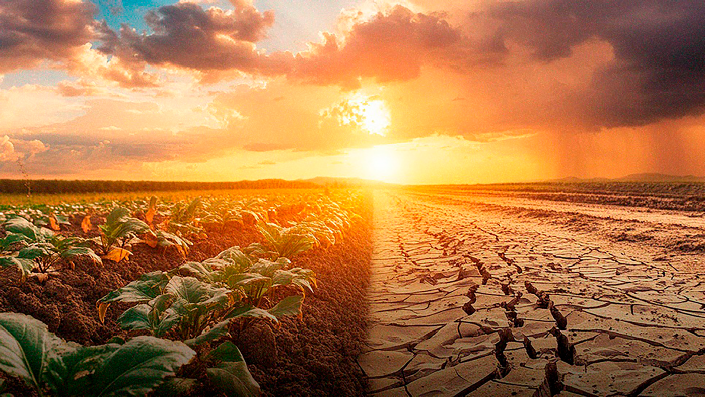 impacto das mudancas climaticas na agricultura
