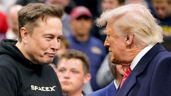 Elon x Trump