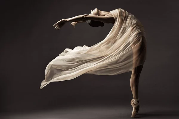ballerina dancing silk fabric modern 600nw 1816471253.jpg