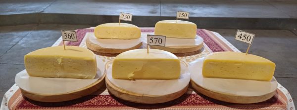 Queijo Canastra 1
