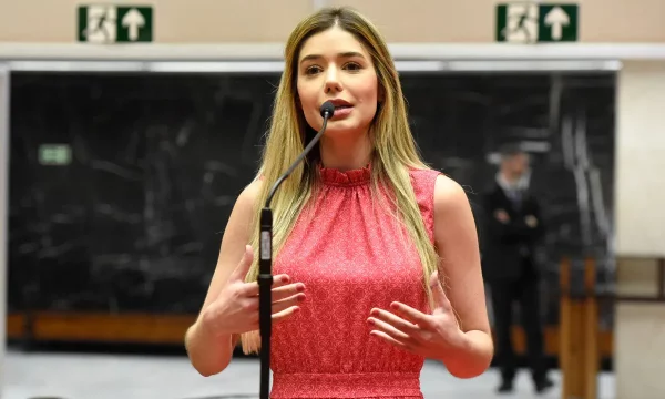 amanda teixeira dias almg