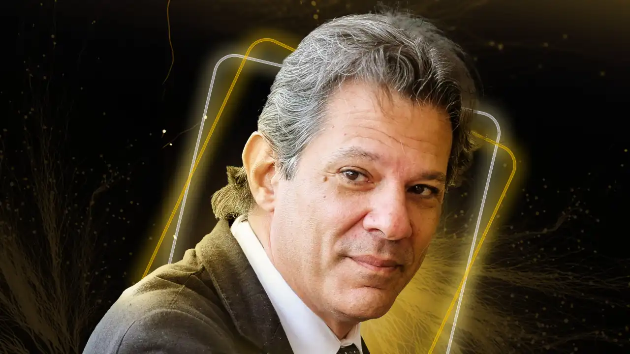 fernando haddad expert