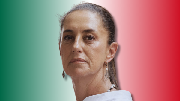 Untitled design 14 800x450