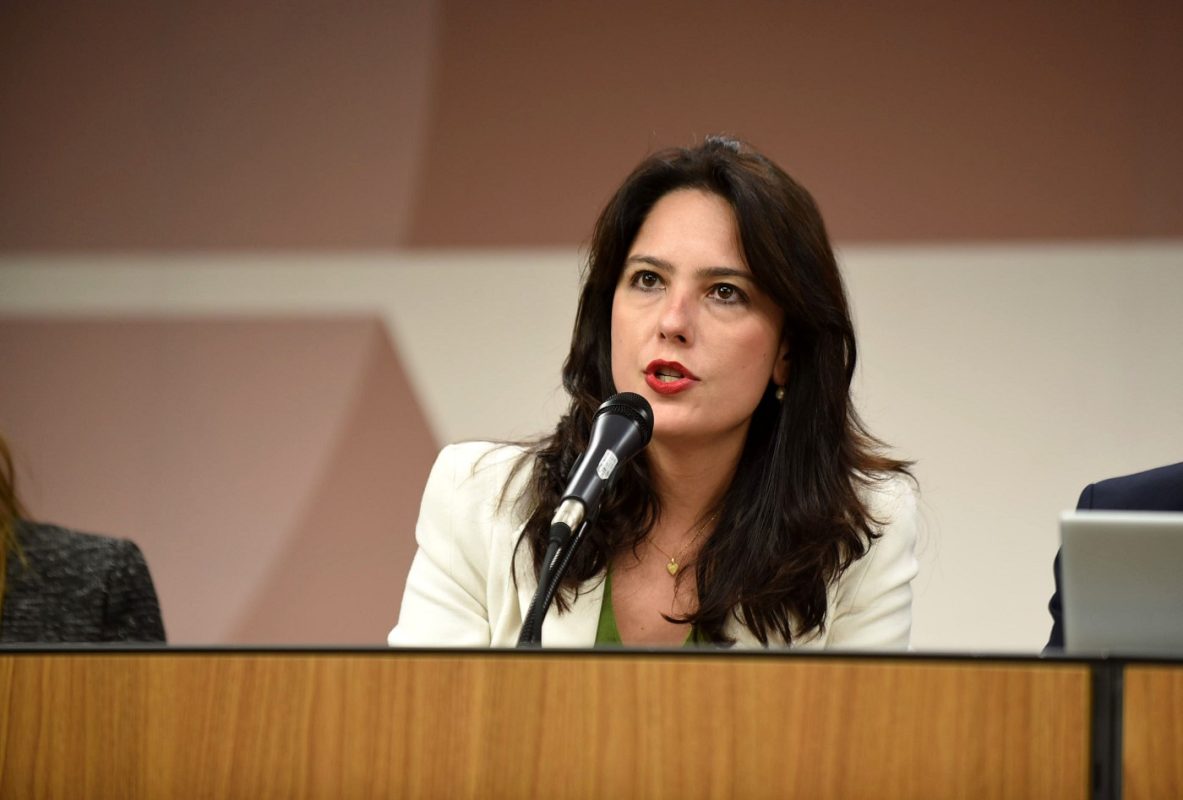 (foto: Henrique Chendes/ ALMG ),