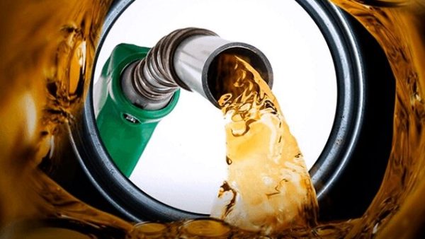 ( foto: reprodução prefeitura PC)