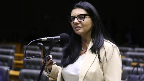 Delegada Ione (foto: Vinicius Loures/Câmara dos Deputados)