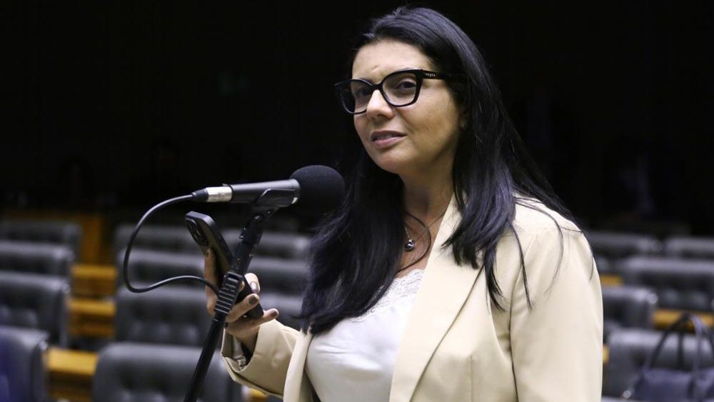 Delegada Ione (foto: Vinicius Loures/Câmara dos Deputados)