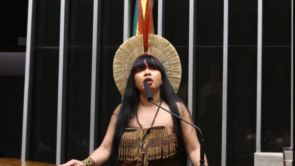 Célia Xakriabá (foto: Vinicius Loures/Câmara dos Deputados)