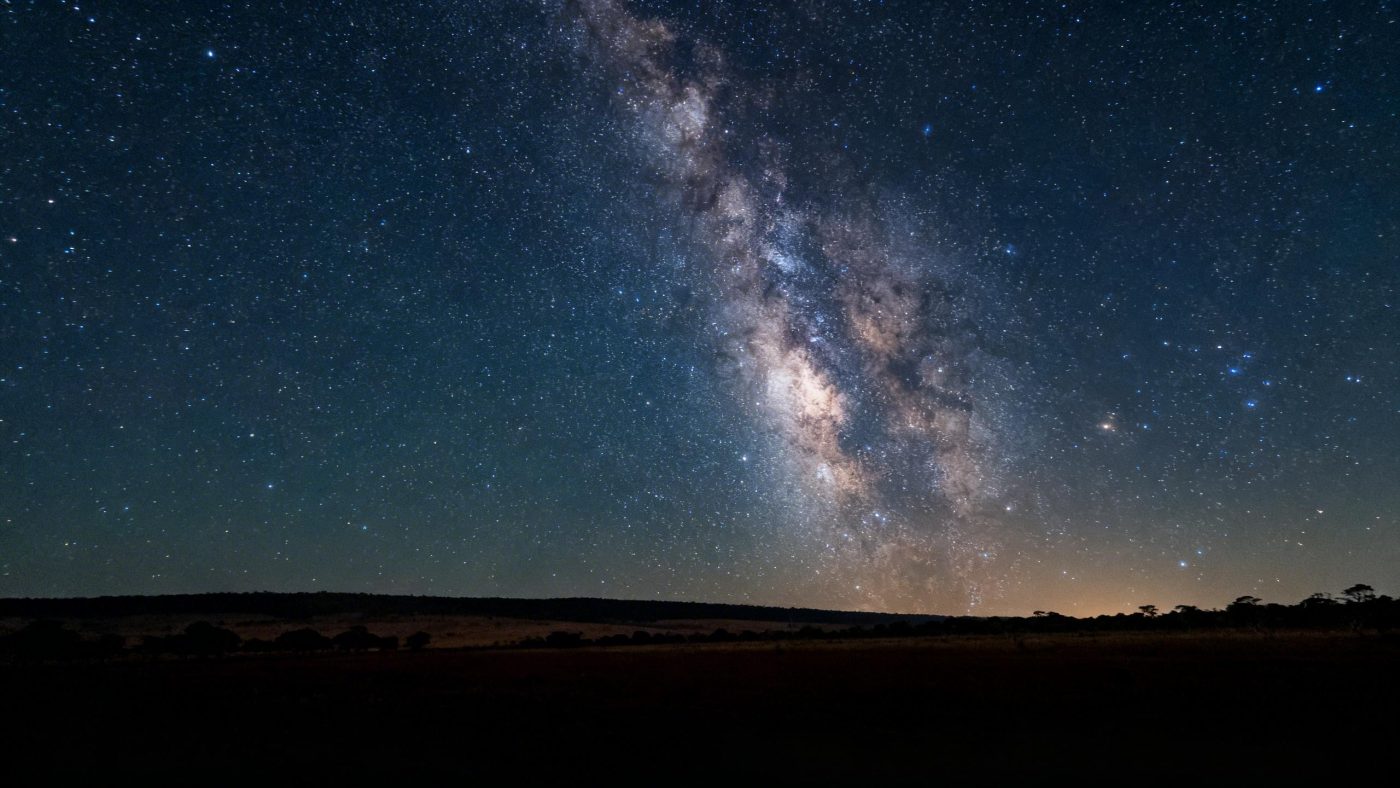 WhatsApp Renata Araujo