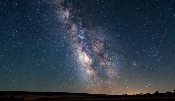 WhatsApp Image 2026 02 26 at 16.25.58