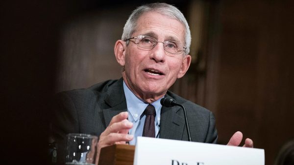Anthony Fauci (foto: Sarah Silbiger/Getty Images