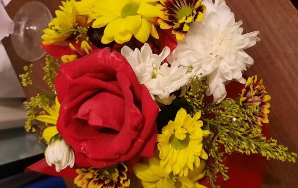 WhatsApp Image 2026 03 07 at 19.53.38 2