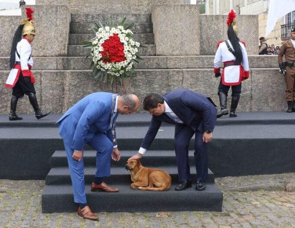 (Foto Gil LeonardiAgência Minas)