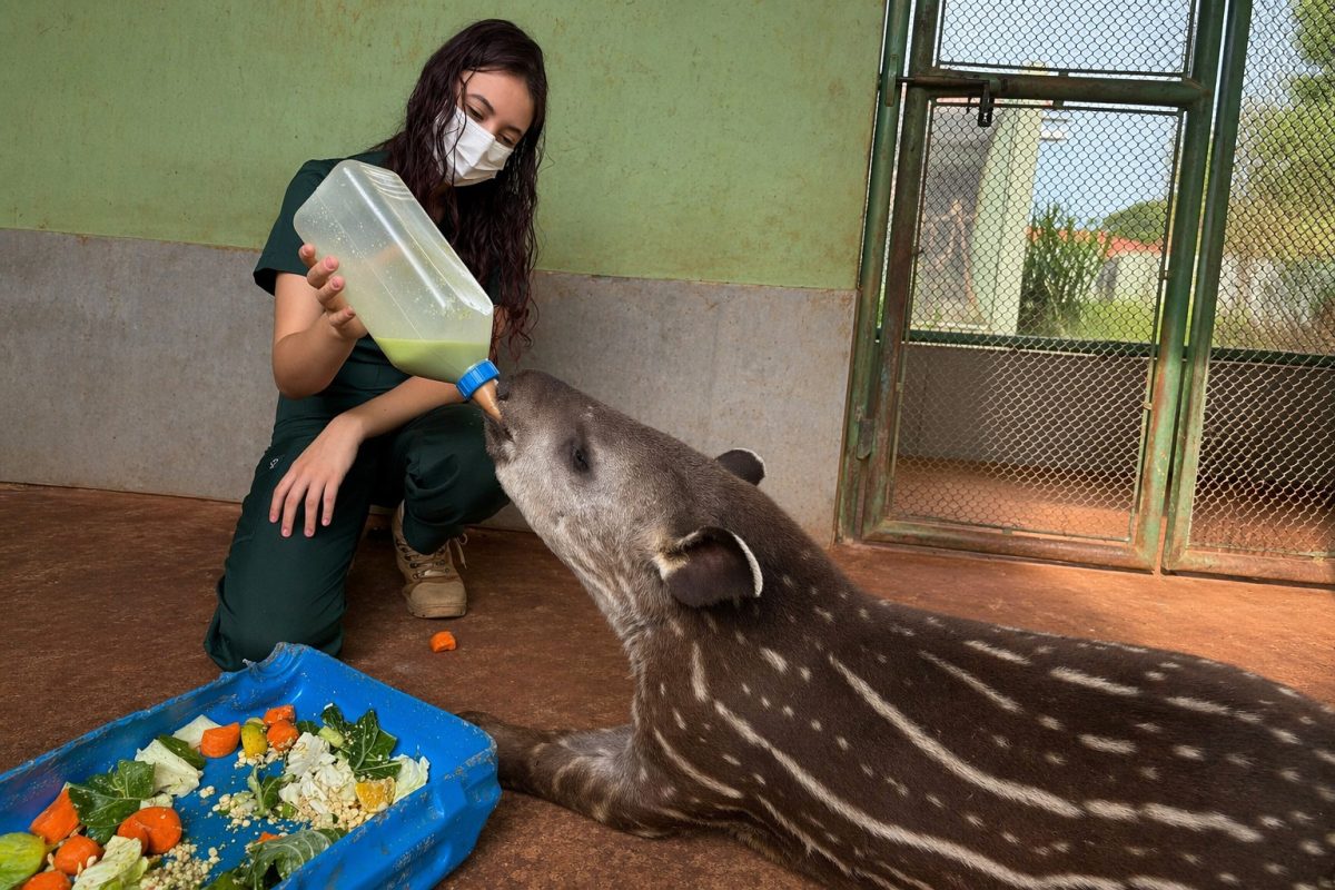 WhatsApp Image 2026 04 18 at 12.18.45