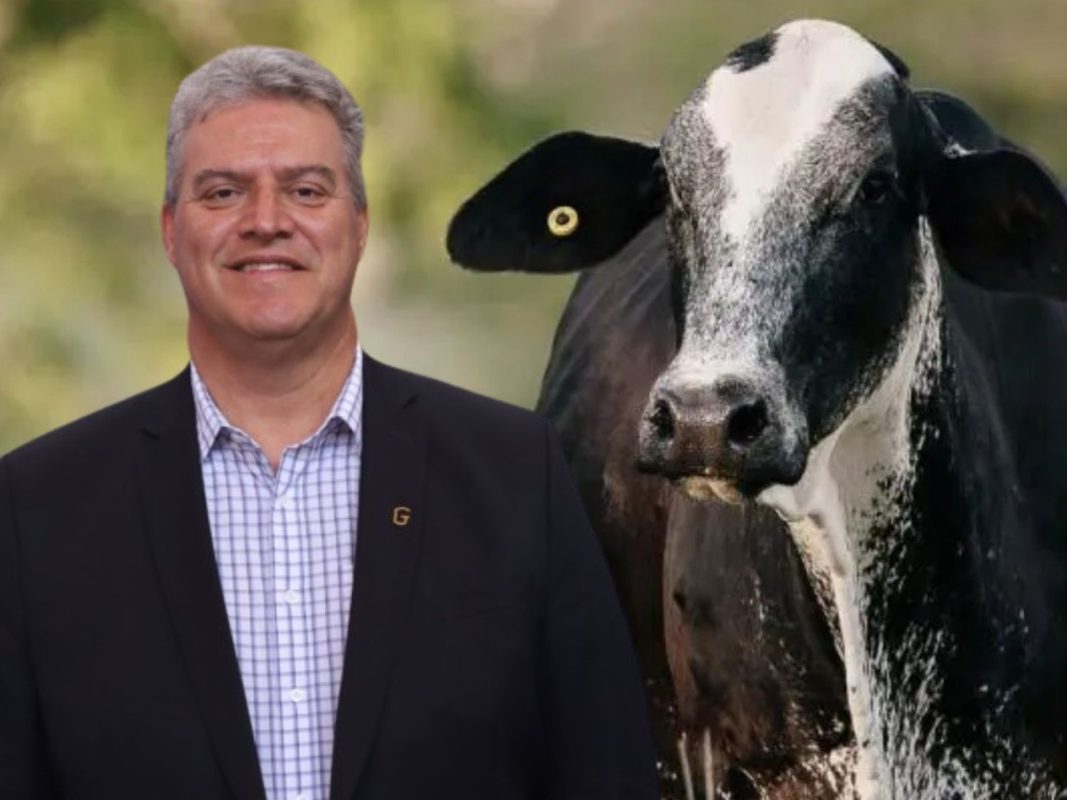 Alexandre Lopes Lacerda (foto divulgação)