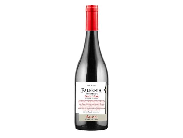 Vinho Falernia   Reprodução Prem1um Wines