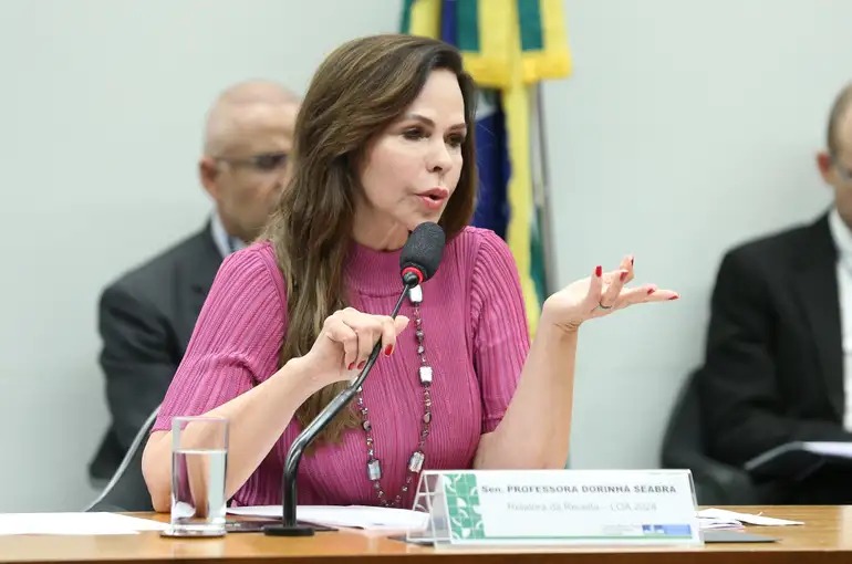 Dorinha Seabra (foto: Lula Marques/ Agência Brasil