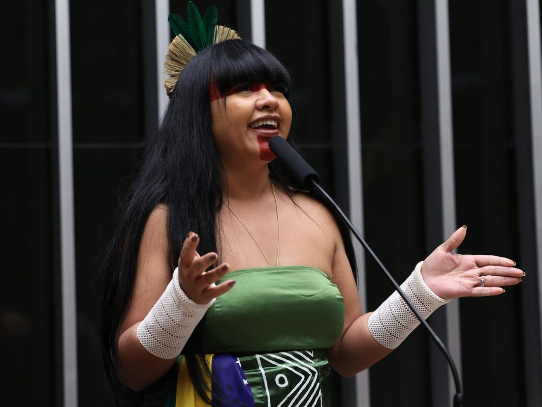 Célia Xakriabá (foto: Kayo Magalhães/Câmara dos Deputados)