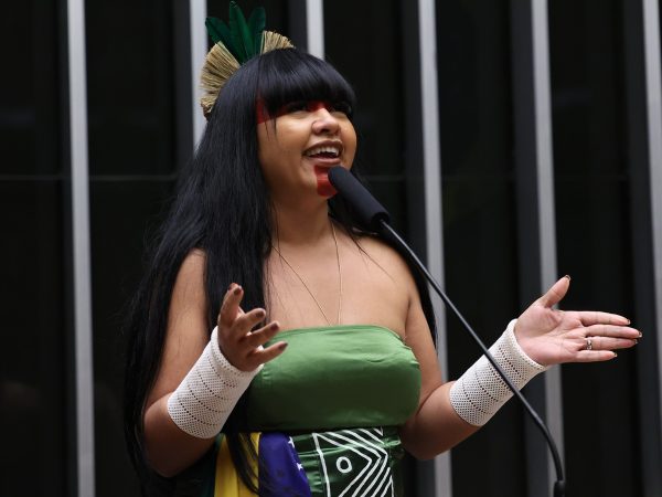 Célia Xakriabá (foto: Kayo Magalhães/Câmara dos Deputados)