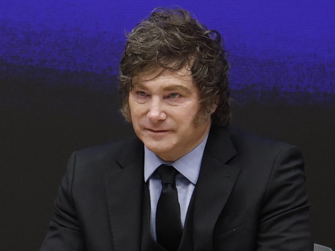Javier Milei (foto: Chema Moya/ARCHIVO (EPA) EFE)