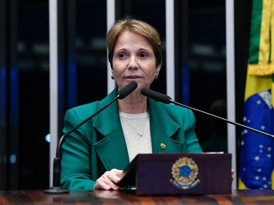 Tereza Cristina (foto: Agência Brasil)