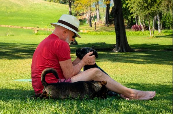 Lula/Dogue (foto: Instagram/Reprodução)