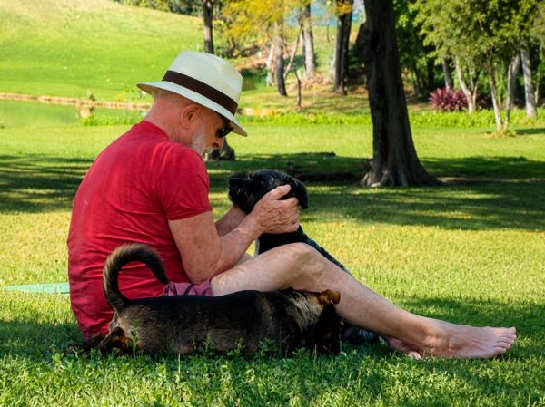 Lula/Dogue (foto: Reprodução/Instagram)
