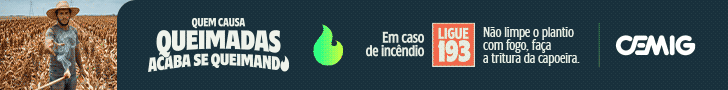 AGT 0001 26 AF BANNER ESTATICO CEMIG QUEIMADAS 728X90PX