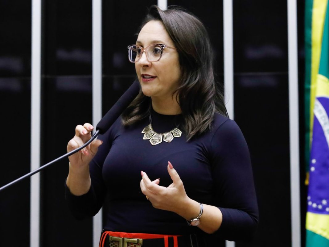 Renata Abreu (foto: Mario Agra/Câmara dos Deputados)