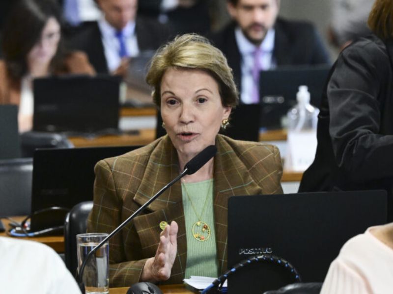 Tereza Cristina (foto: Geraldo Magela/Agência Senado)