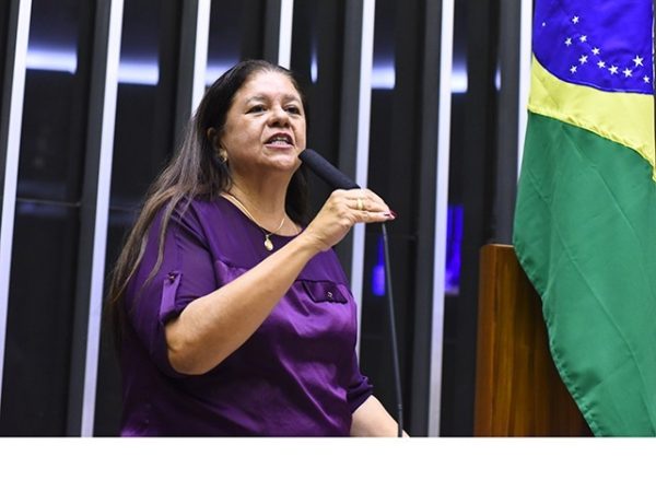 Laura Carneiro (foto: Câmara dos Deputados / Reprodução)